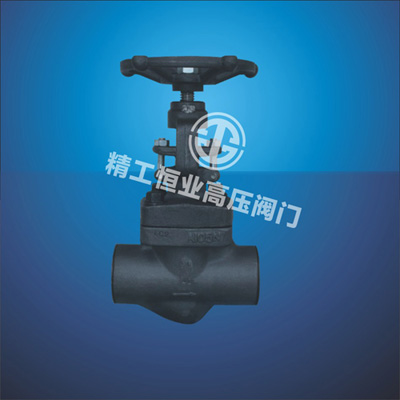 �͸������ơ��в庸��ֹ��