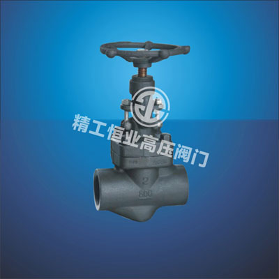 �͸������ơ��в庸��ֹ��