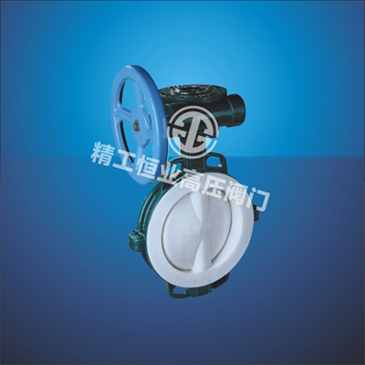 衬氟对夹式蝶阀