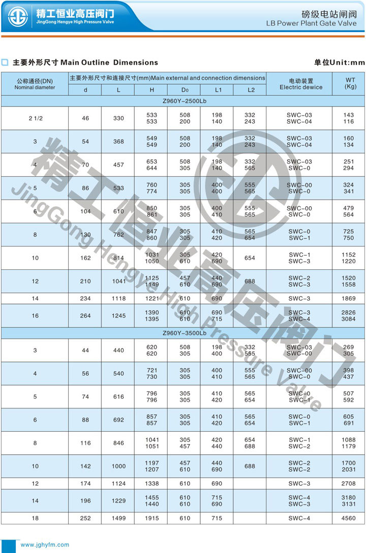 ������վբ��